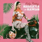 Harleys In Hawaii Song poster